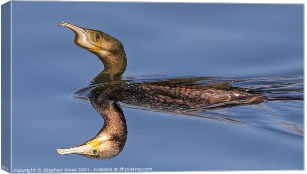 Mutant Cormorant On Toxic Lake Canvas Print by Ste Jones