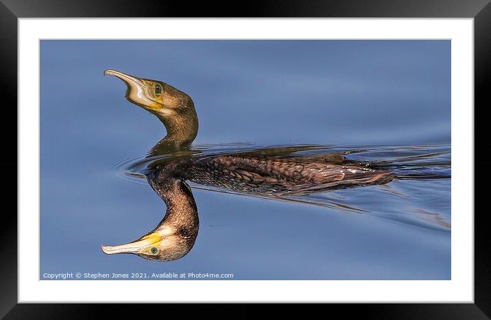 Mutant Cormorant On Toxic Lake Framed Mounted Print by Ste Jones