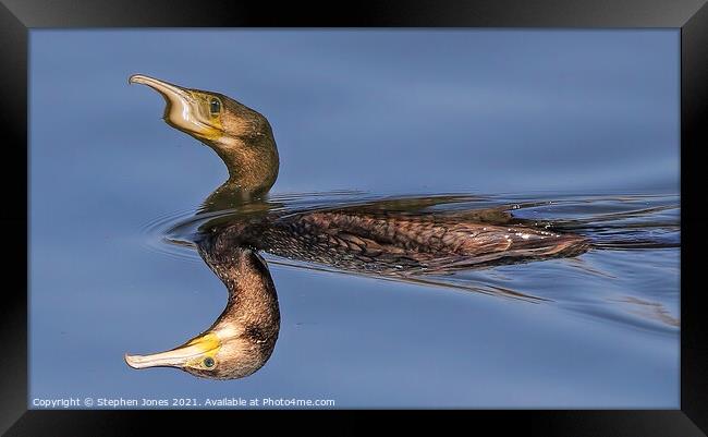 Mutant Cormorant On Toxic Lake Framed Print by Ste Jones