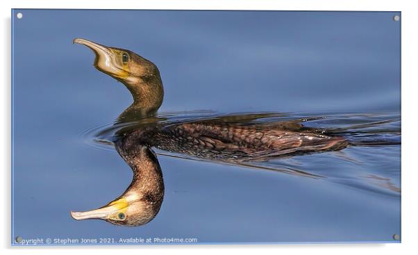 Mutant Cormorant On Toxic Lake Acrylic by Ste Jones