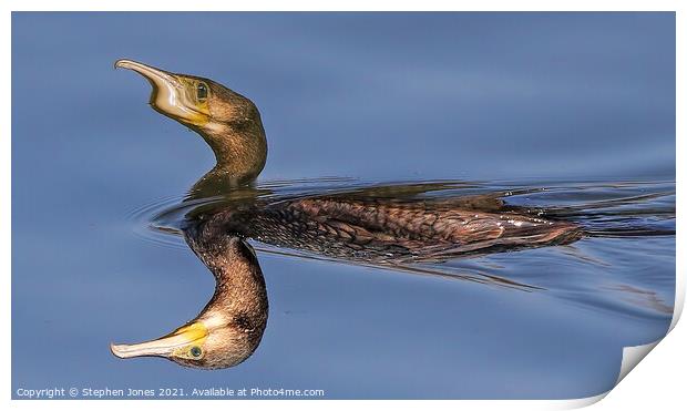 Mutant Cormorant On Toxic Lake Print by Ste Jones