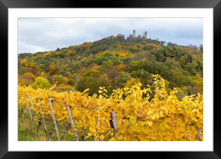 Herbst in Auerbach Framed Mounted Print by Thomas Schaeffer