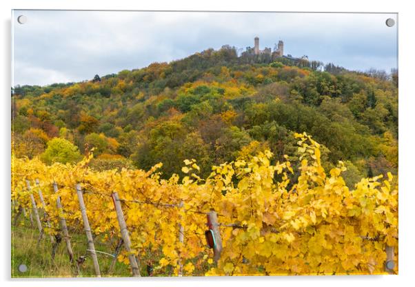 Herbst in Auerbach Acrylic by Thomas Schaeffer