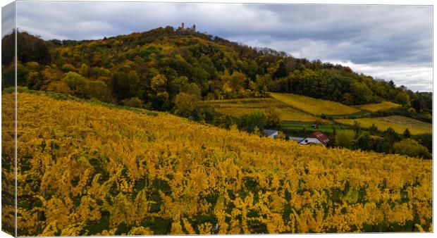 Herbst in Auerbach Canvas Print by Thomas Schaeffer