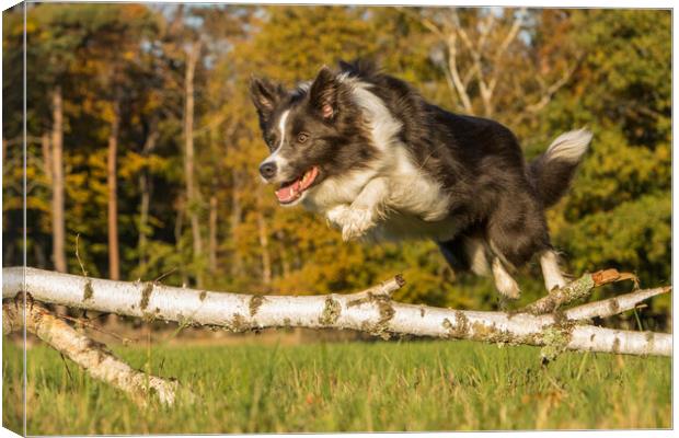 Jumping Amy Canvas Print by Thomas Schaeffer