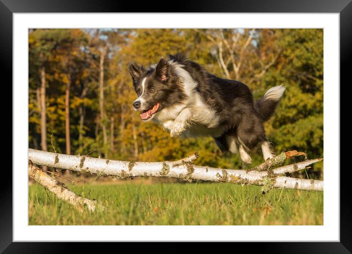 Jumping Amy Framed Mounted Print by Thomas Schaeffer