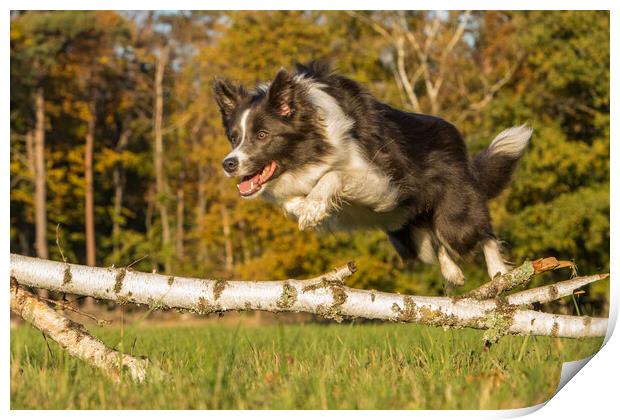 Jumping Amy Print by Thomas Schaeffer