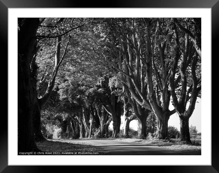 Tree lined country lane Framed Mounted Print by Chris Rose