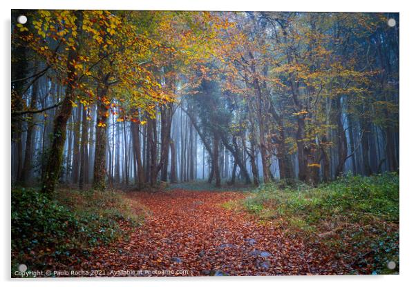 Foggy forest path in Sintra mountain, Portugal Acrylic by Paulo Rocha