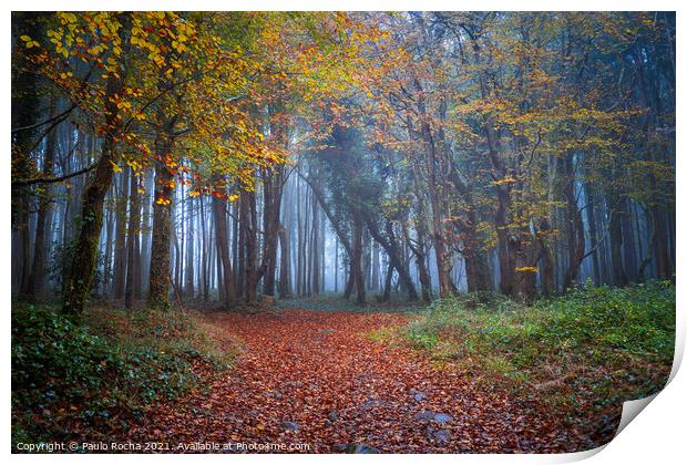 Foggy forest path in Sintra mountain, Portugal Print by Paulo Rocha