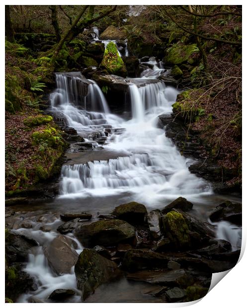 Melincourt Brook falls Print by Leighton Collins