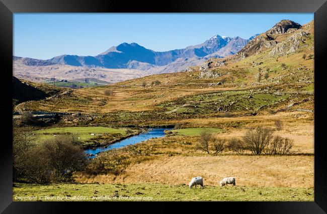 Snowdon Horseshoe from Capel Curig in Snowdonia Framed Print by Pearl Bucknall