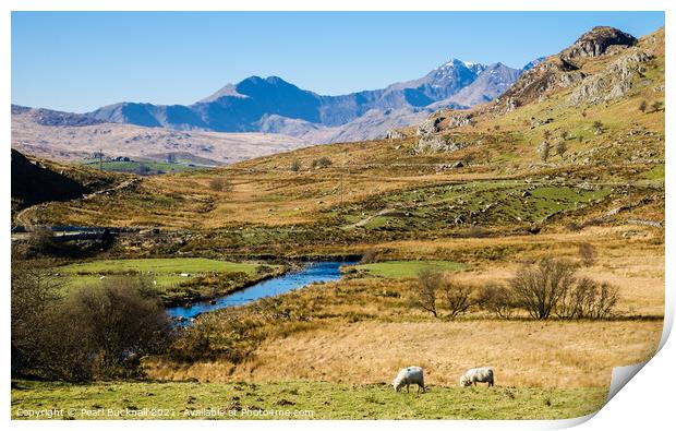 Snowdon Horseshoe from Capel Curig in Snowdonia Print by Pearl Bucknall