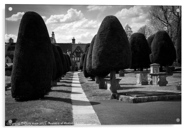 Painswick churchyard yew trees Acrylic by Chris Rose