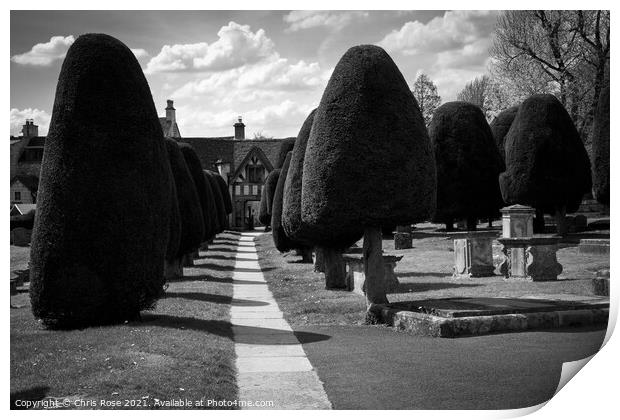 Painswick churchyard yew trees Print by Chris Rose