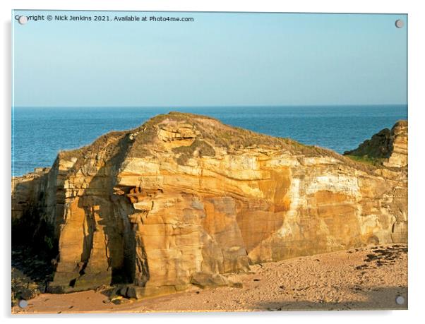 Howick Rocks and Beach on the Northumberland Coast  Acrylic by Nick Jenkins