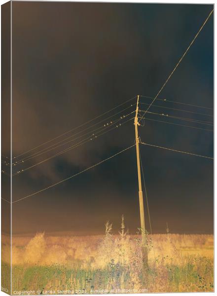 Night field Canvas Print by Larisa Siverina