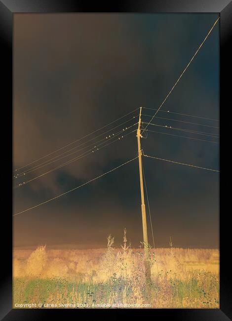 Night field Framed Print by Larisa Siverina