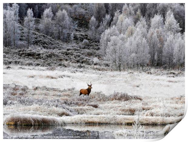 First Frost of Winter Print by Jon Pear