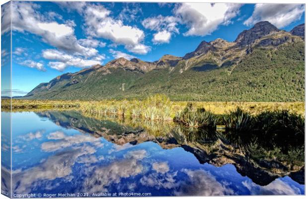 Reflections of Nature Canvas Print by Roger Mechan