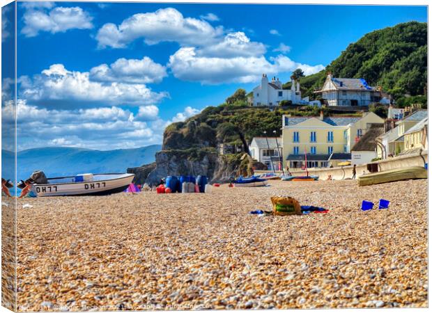 Coastal Playground Canvas Print by Roger Mechan