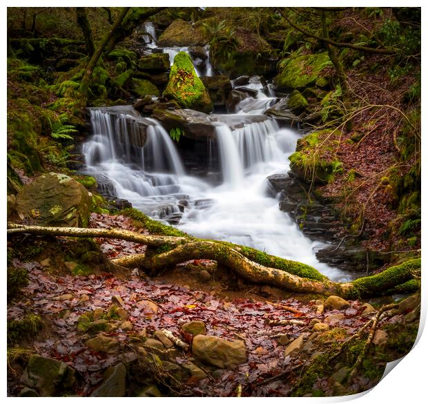 Melincourt Brook waterfall Print by Leighton Collins