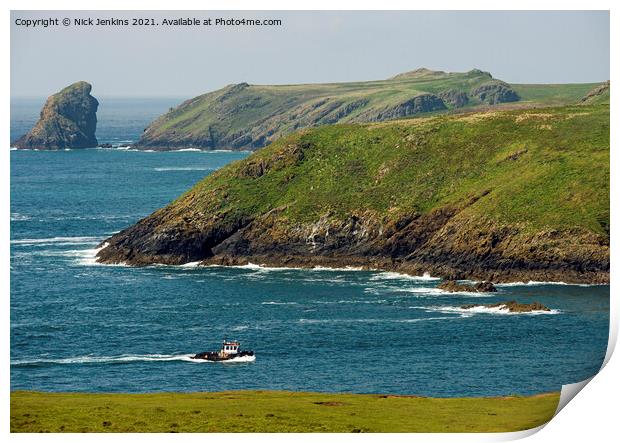 Skomer Island seen from Deer Park  Print by Nick Jenkins