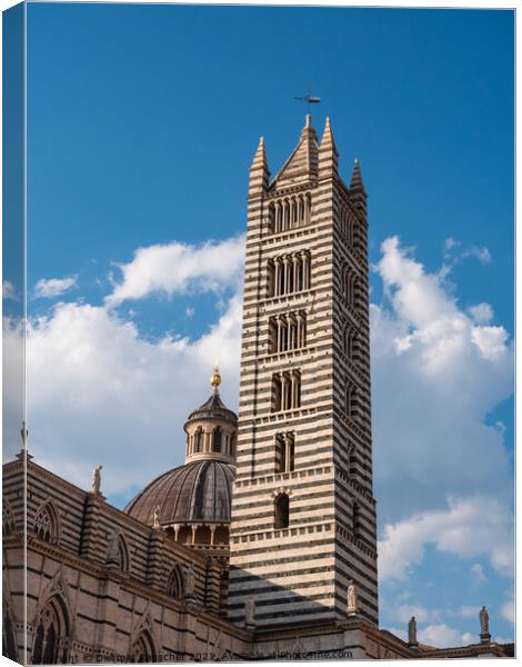 Siena Cathedral Campanile Bell Tower Canvas Print by Dietmar Rauscher