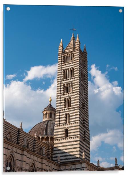 Siena Cathedral Campanile Bell Tower Acrylic by Dietmar Rauscher