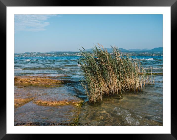 Lake Garda Landscape in Sirmione Framed Mounted Print by Dietmar Rauscher