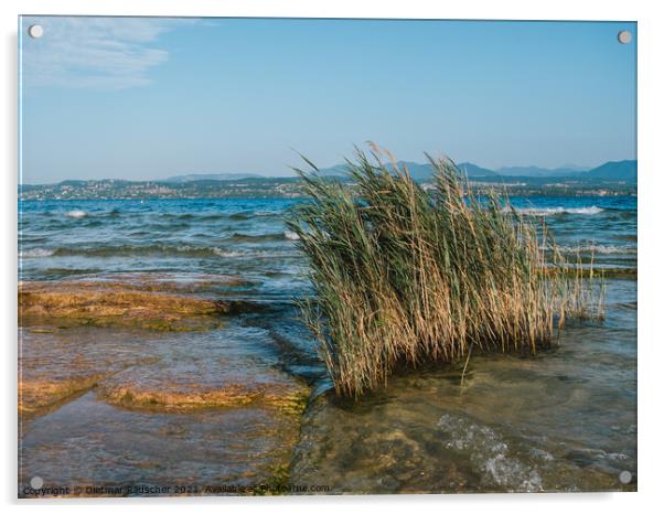 Lake Garda Landscape in Sirmione Acrylic by Dietmar Rauscher