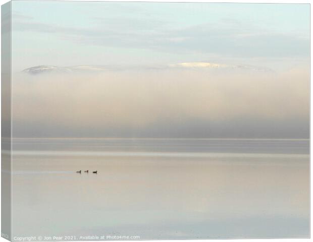 Pochards in the Mist  Canvas Print by Jon Pear