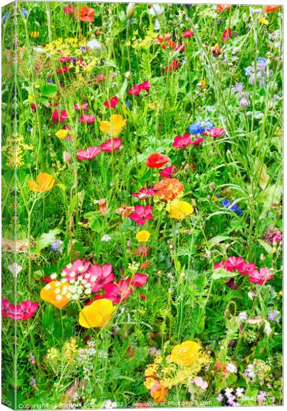 Wildflower Meadow with a Variety of Colourful Flow Canvas Print by Samuel Sequeira