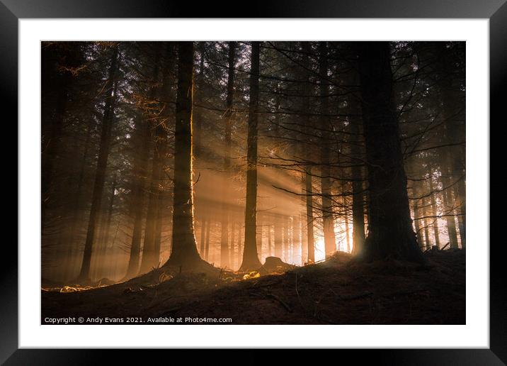 Winter Sunrise Framed Mounted Print by Andy Evans