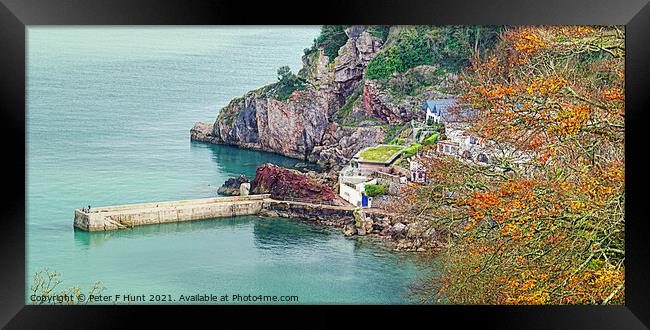 The Cary Arms From Babbacombe Downs Framed Print by Peter F Hunt