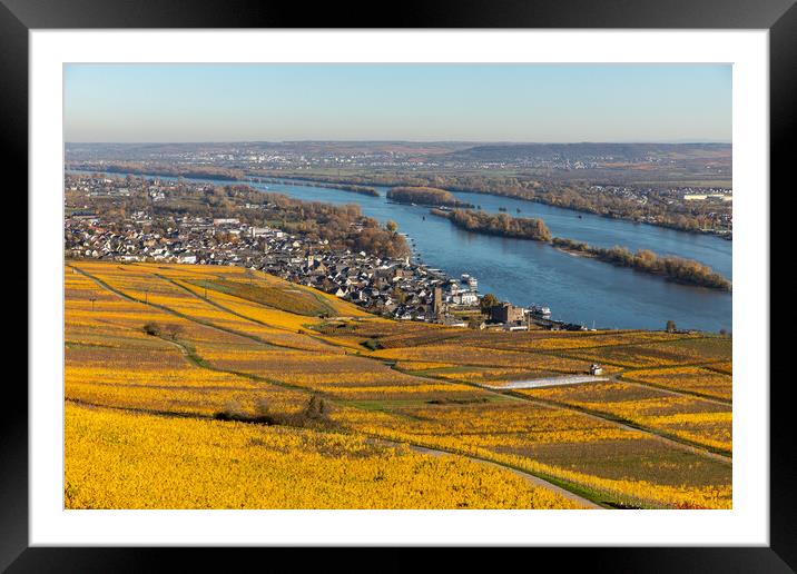 Rhine valley in the fall Framed Mounted Print by Thomas Schaeffer