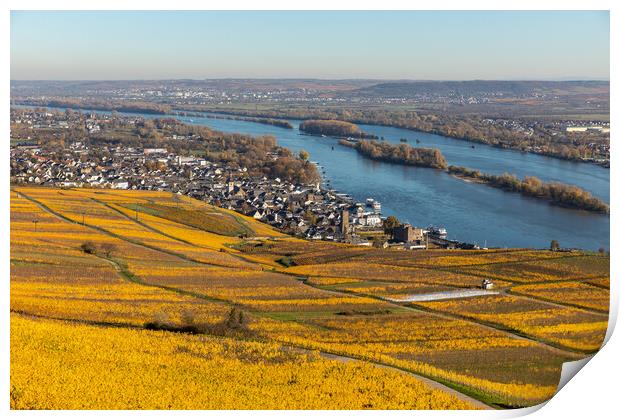 Rhine valley in the fall Print by Thomas Schaeffer