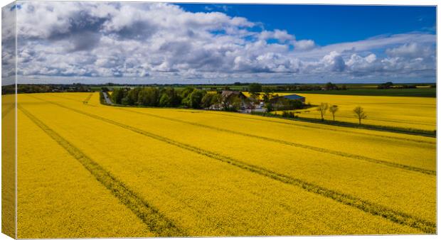 Rapeseed aerial Canvas Print by Thomas Schaeffer