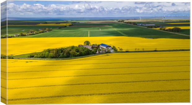 Rapeseed aerial Canvas Print by Thomas Schaeffer