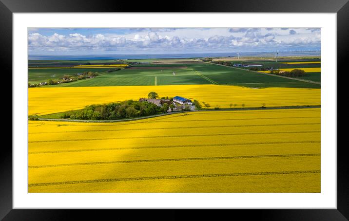 Rapeseed aerial Framed Mounted Print by Thomas Schaeffer