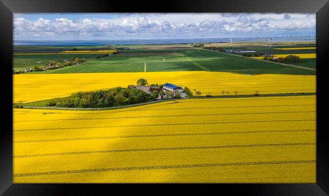 Rapeseed aerial Framed Print by Thomas Schaeffer