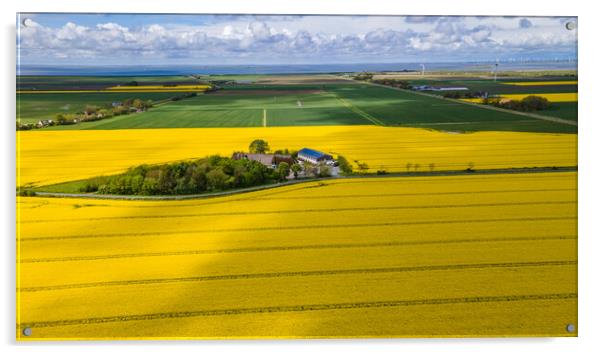 Rapeseed aerial Acrylic by Thomas Schaeffer