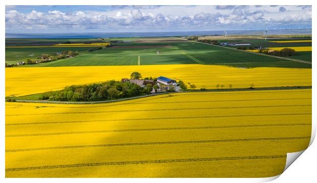 Rapeseed aerial Print by Thomas Schaeffer