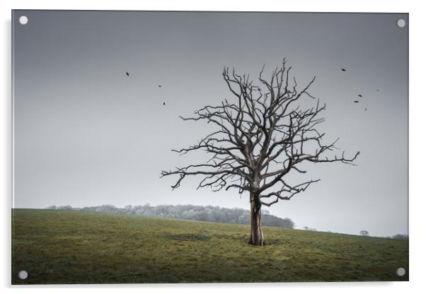Tree in a Sussex Field Acrylic by Mark Jones