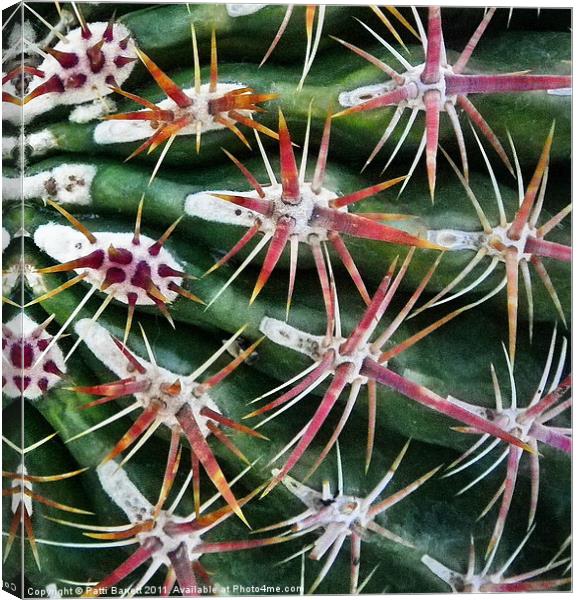 Cactus up close and personal Canvas Print by Patti Barrett