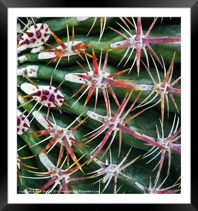 Cactus up close and personal Framed Mounted Print by Patti Barrett