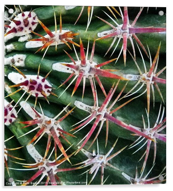 Cactus up close and personal Acrylic by Patti Barrett