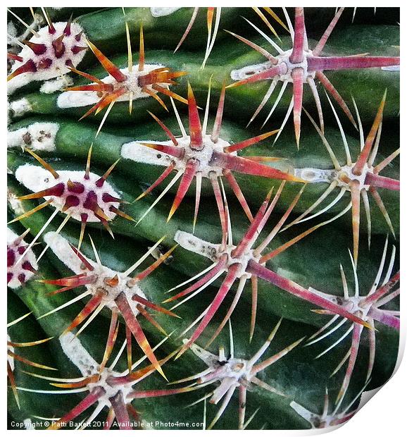 Cactus up close and personal Print by Patti Barrett