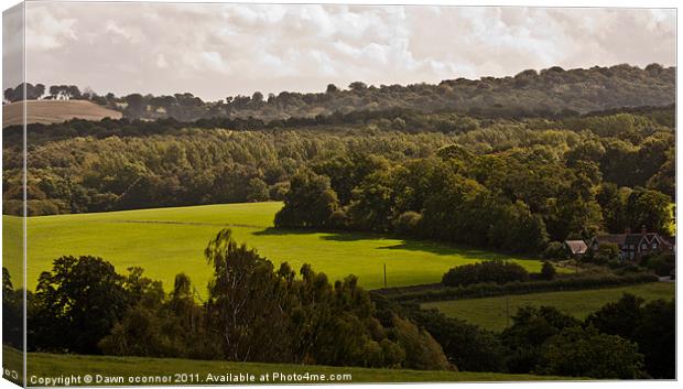 The Green Fields, Sussex UK Canvas Print by Dawn O'Connor
