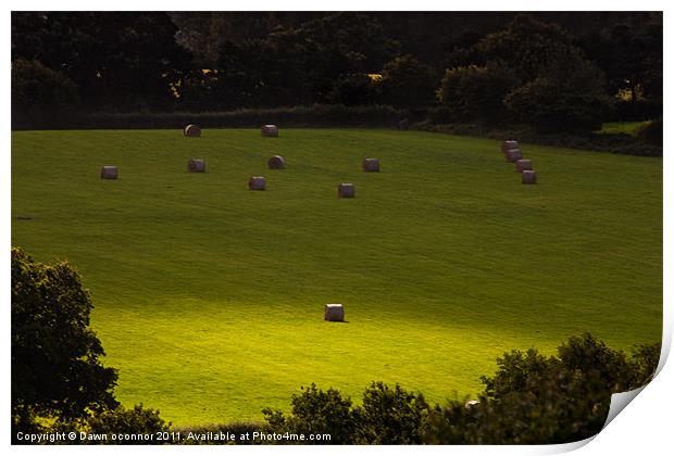 Englands Green Fields Print by Dawn O'Connor